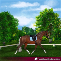 Horse Color:Silver Brown 