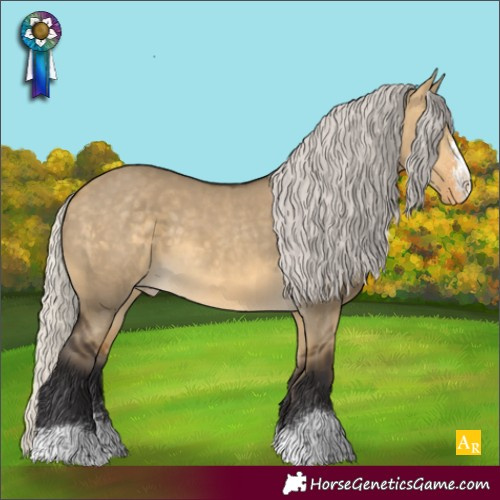Horse Color:Silver Buckskin Dun Appaloosa