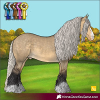 Horse Color:Silver Buckskin Dun Appaloosa 