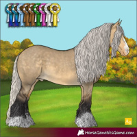 Horse Color:Silver Buckskin Dun Varnish 