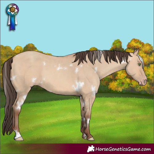 Horse Color:White Spotted Amber Champagne Dun