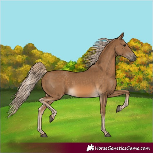 Horse Color:Chocolate Palomino
