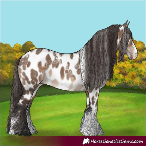 Horse Color:Powder White Brown Dun Appaloosa Rabicano 