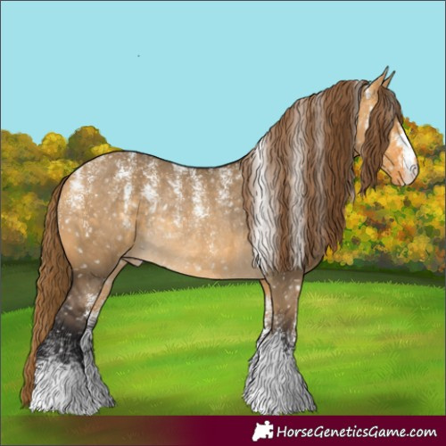 Horse Color:Powder White Buckskin Dun Appaloosa Rabicano 