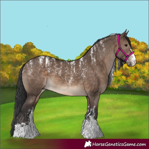 Horse Color:Powder White Brown Dun 
