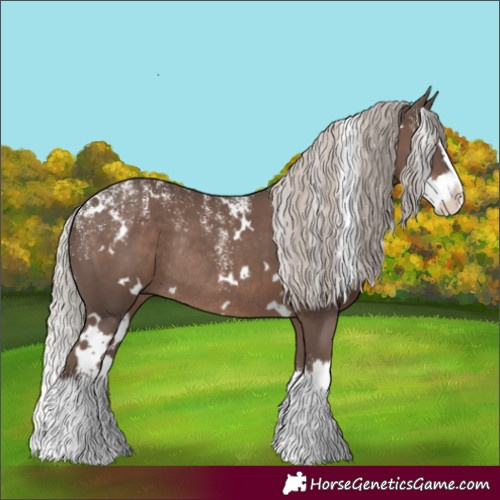 Horse Color:Powder White White Spotted Silver Black Splash Rabicano
