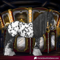 Horse Color:Black Sabino Tobiano Blanket 