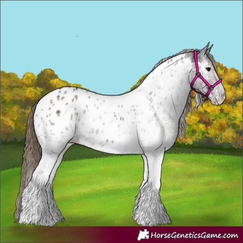 Horse Color:White Spotted Smoky Grullo Tobiano Appaloosa Rabicano Brindle 