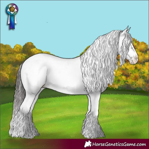 Horse Color:Smoky Blue Onyx Sabino Frame Appaloosa Rabicano