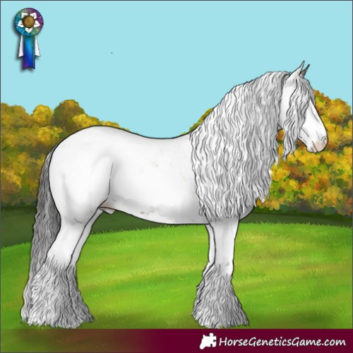 Horse Color:Brown Onyx Sabino Appaloosa 