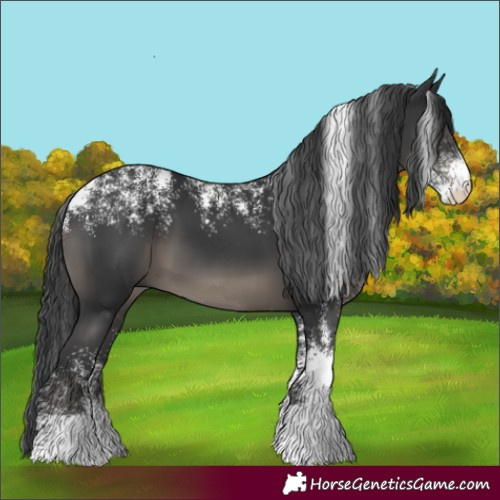 Horse Color:Powder White Black 