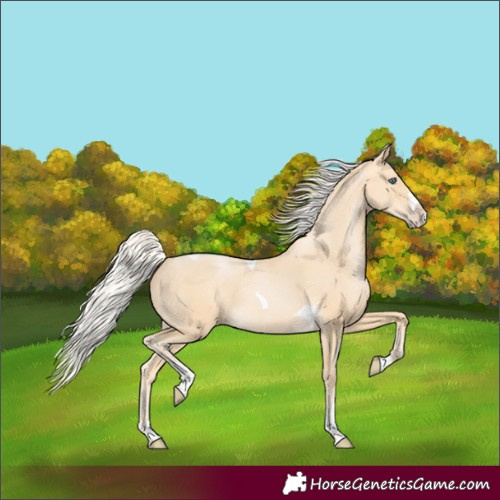 Horse Color:Silver Buckskin Pearl Splash Tobiano 