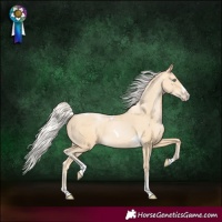 Horse Color:Silver Buckskin Pearl Splash Tobiano