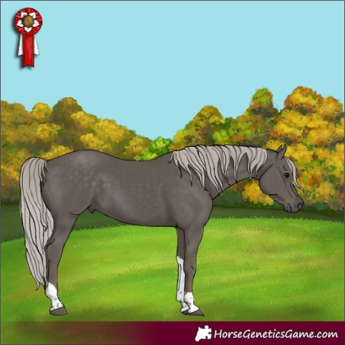 Horse Color:Silver Black Tobiano Rabicano