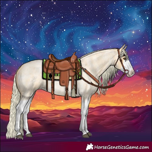 Horse Color:Palomino Roan Splash 