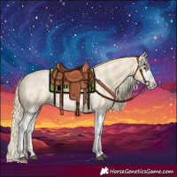 Horse Color:Palomino Roan Splash
