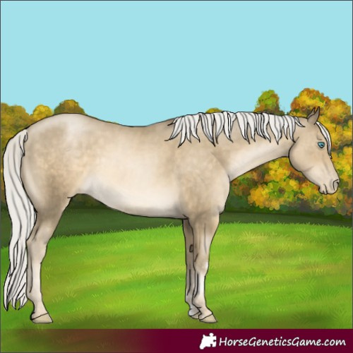 Horse Color:Silver Smoky Black Pearl 