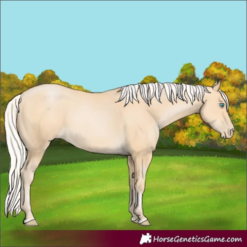 Horse Color:Silver Buckskin Pearl 