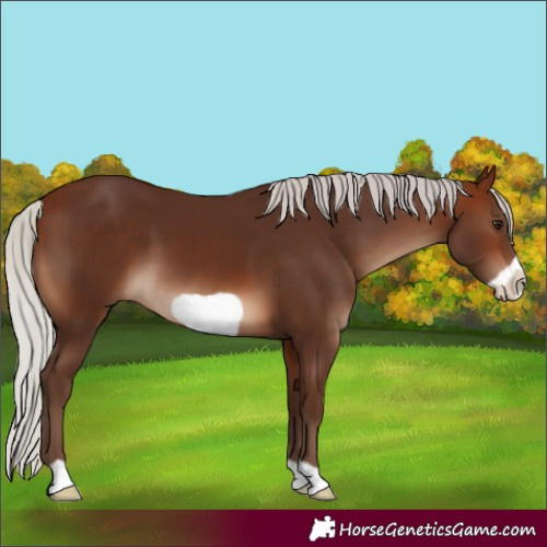 Horse Color:Silver Brown Frame