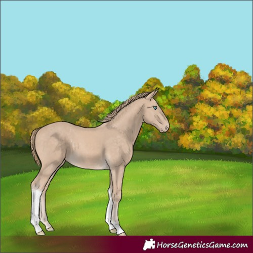 Horse Color:Perlino Tobiano 