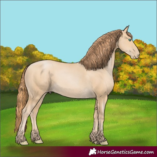 Horse Color:Smoky Black Pearl 