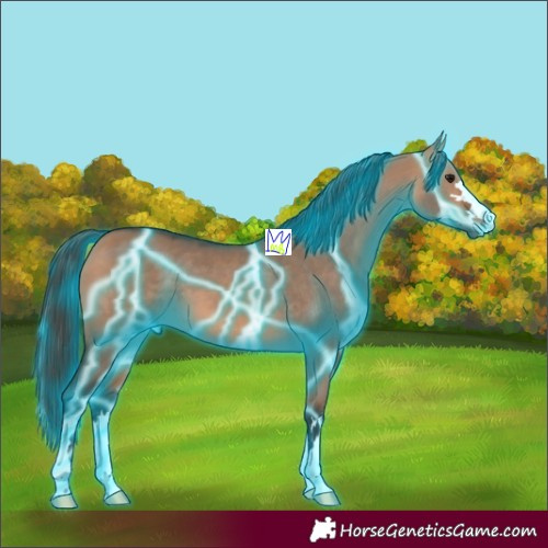 Horse Color:Thunderstruck Bay Dun 