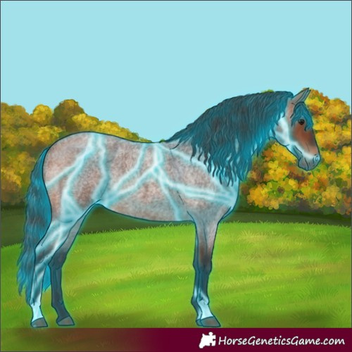 Horse Color:Thunderstruck Bay Roan Rabicano