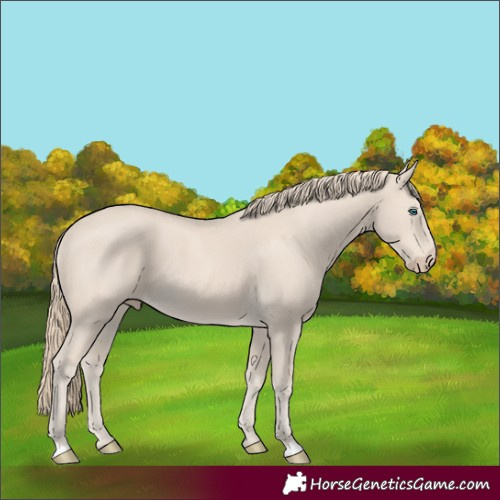 Horse Color:Smoky Creme 