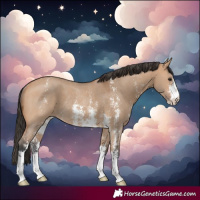 Horse Color:Bay Dun Sabino Rabicano 