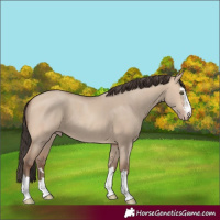 Horse Color:Amber Champagne Dun Rabicano 