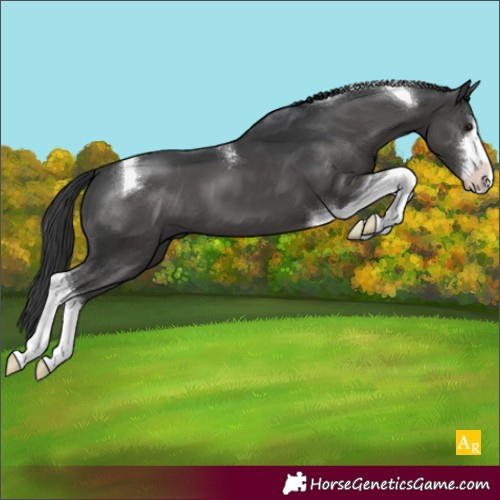 Horse Color:White Spotted Black Tobiano 