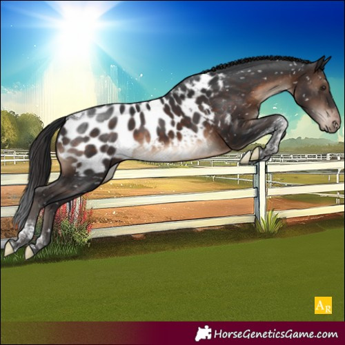 Horse Color:Brown Tobiano Near Leopard 
