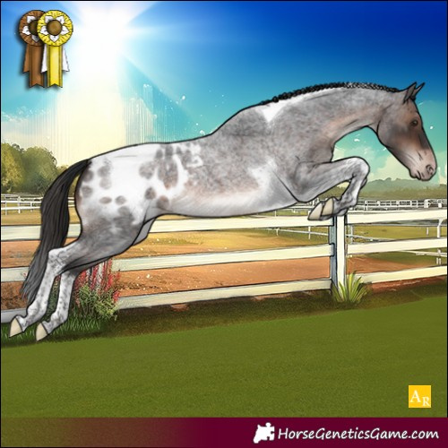Horse Color:Brown Roan Mushroom Tobiano Blanket 