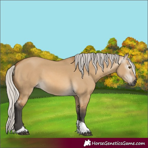 Horse Color:Gray Silver Buckskin Dun Tobiano 