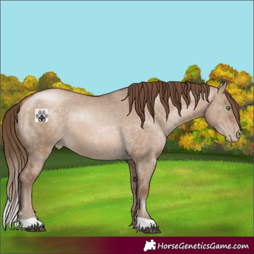Horse Color:Unknown 