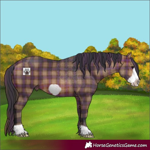 Horse Color:Plaid Brown Frame