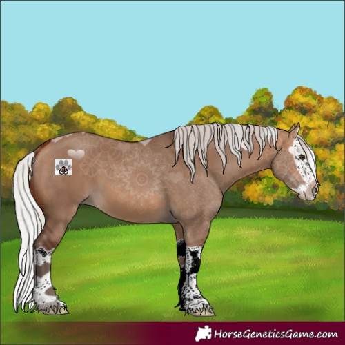 Horse Color:Silver Bay Dun Splash 