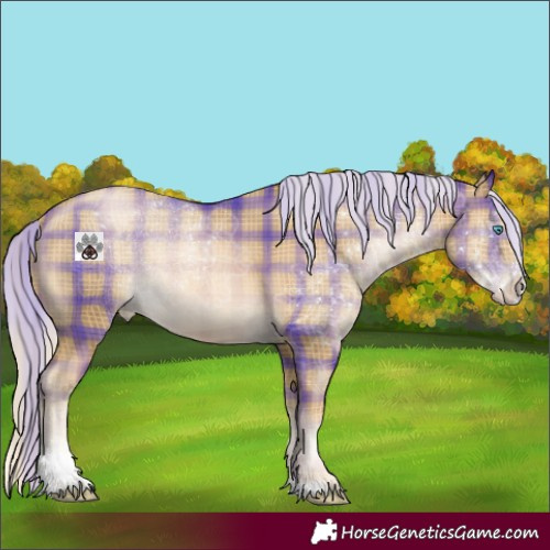 Horse Color:Plaid  Chocolate Palomino Pearl Sabino 