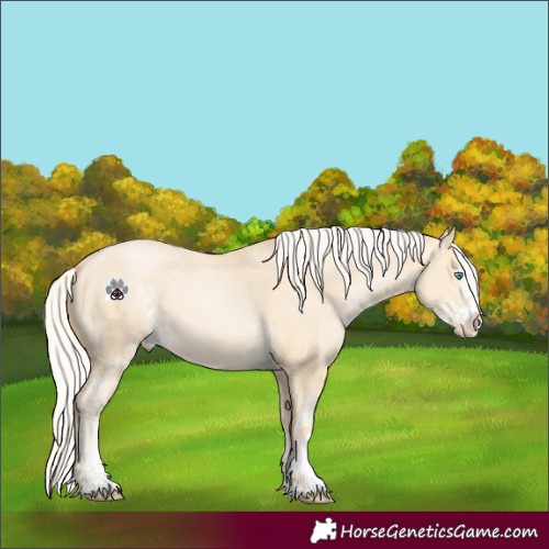 Horse Color:Silver Buckskin Pearl Dun Sabino 