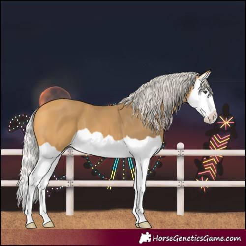 Horse Color:Silver Buckskin Splash
