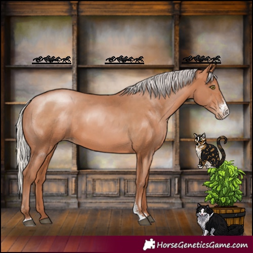 Horse Color:Silver Bay Pearl Sabino 