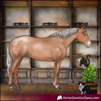Horse Color:Silver Bay Pearl Sabino