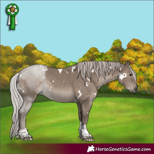 Horse Color:White Spotted Silver Grullo Tobiano Rabicano