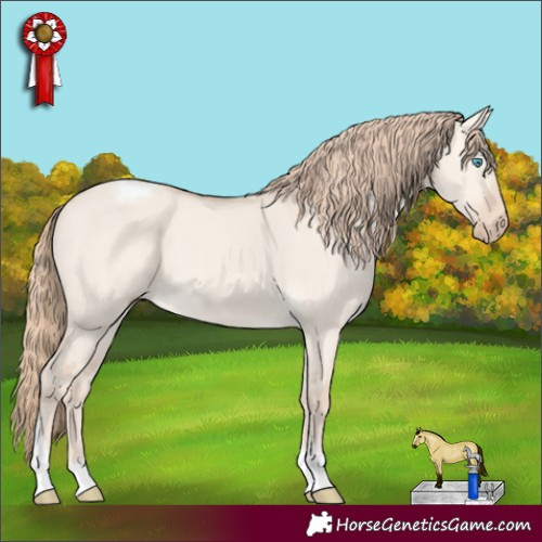 Horse Color:Perlino Dun Tobiano 