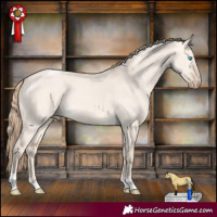 Horse Color:Perlino Dun Tobiano