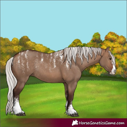 Horse Color:Powder White Silver Brown Dun Rabicano