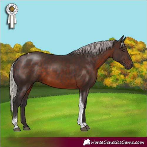 Horse Color:Silver Brown Tobiano Rabicano 