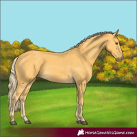 Horse Color:Palomino 