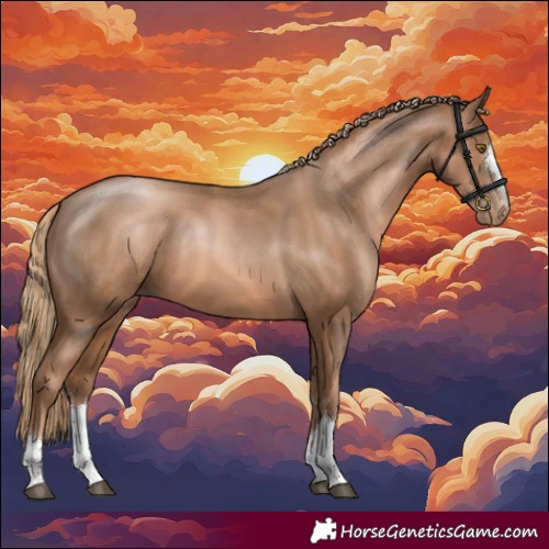 Horse Color:Liver Chestnut Pearl 