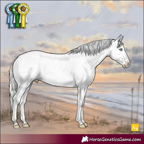 Horse Color:Silver Perlino Sabino Appaloosa
